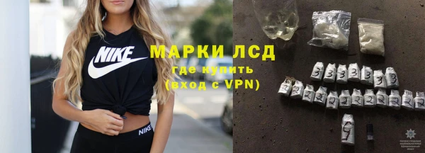 крисы Алзамай