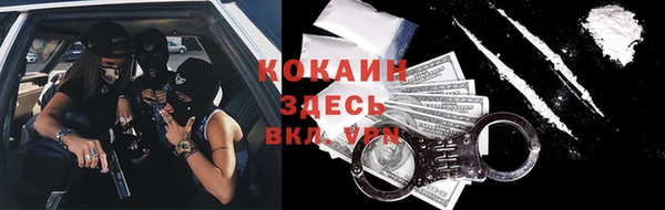 крисы Алзамай