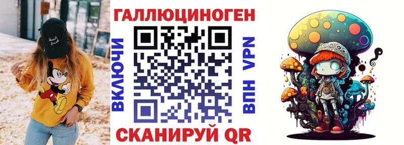Псилоцибиновые грибы Psilocybine cubensis  Нурлат 